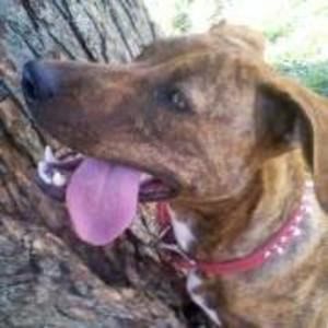 Meet your Posher, Doug